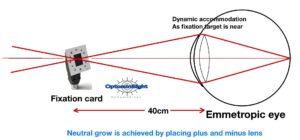 Monocular estimation method